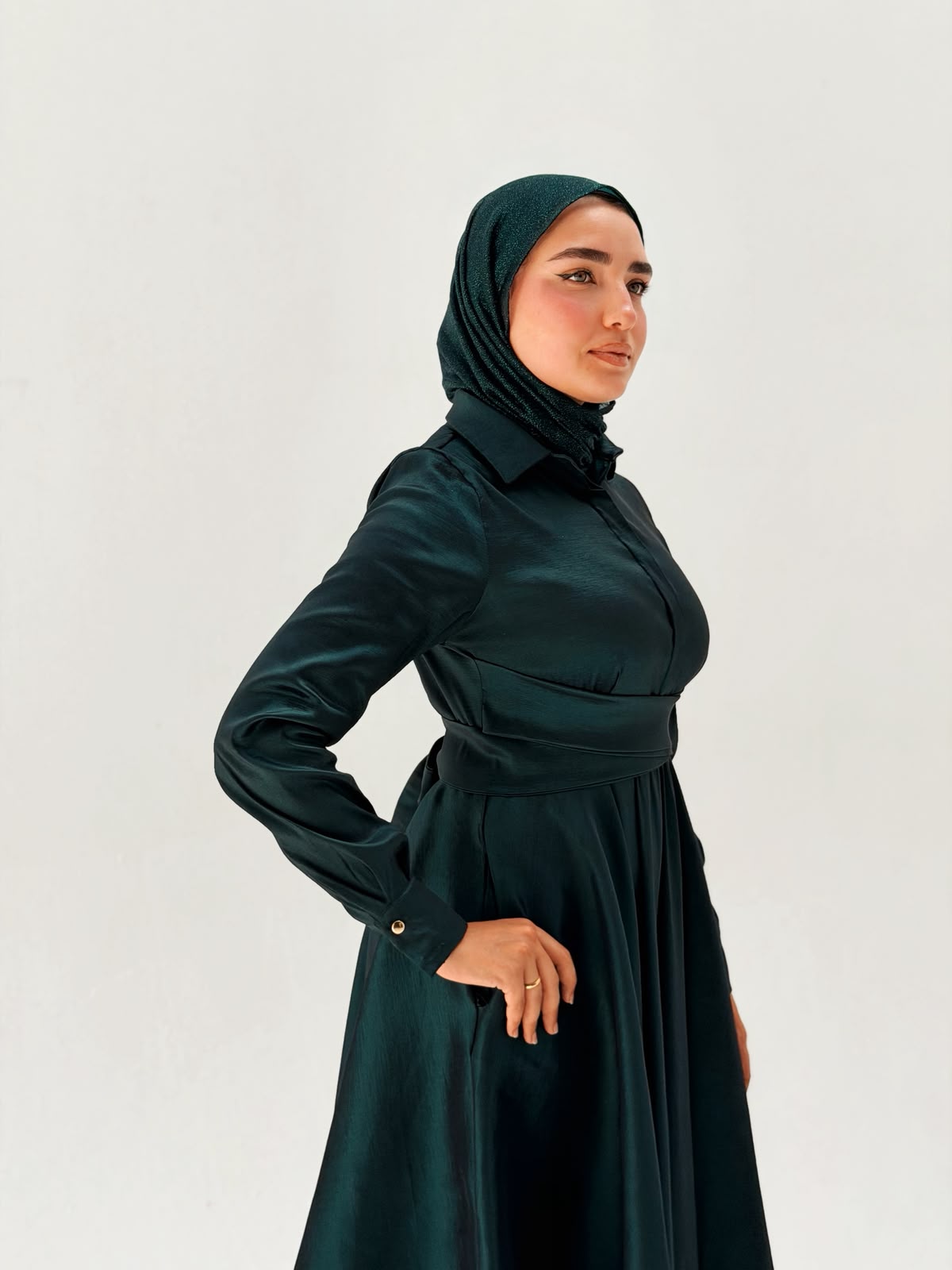The royal taffeta dress